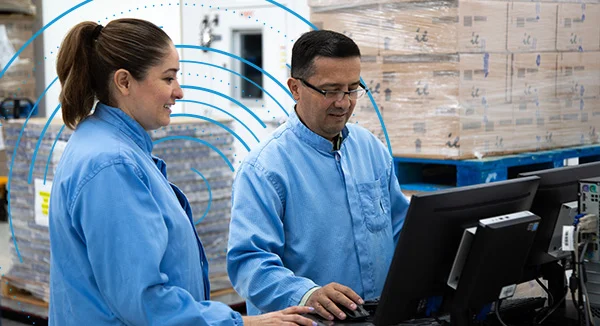 Mentoring- und Mentorenprogramm bei Flex