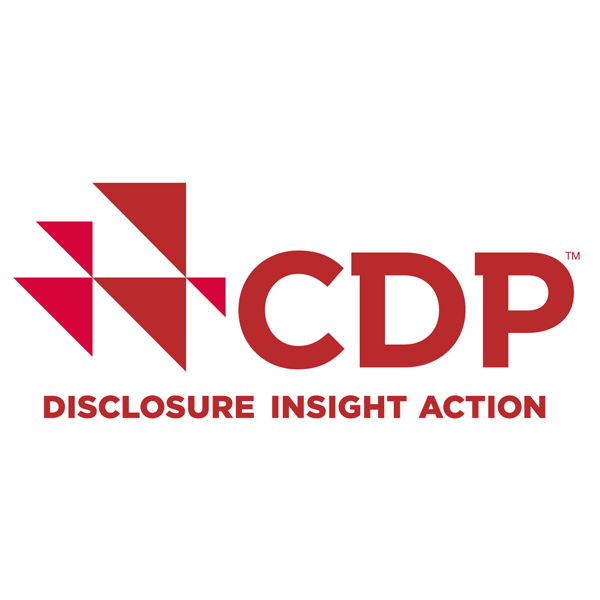 CDP disclosure insight action