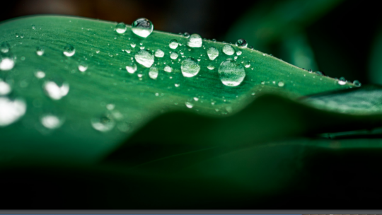 Task-Force-Bericht zu klimabezogenen Finanzoffenlegungen