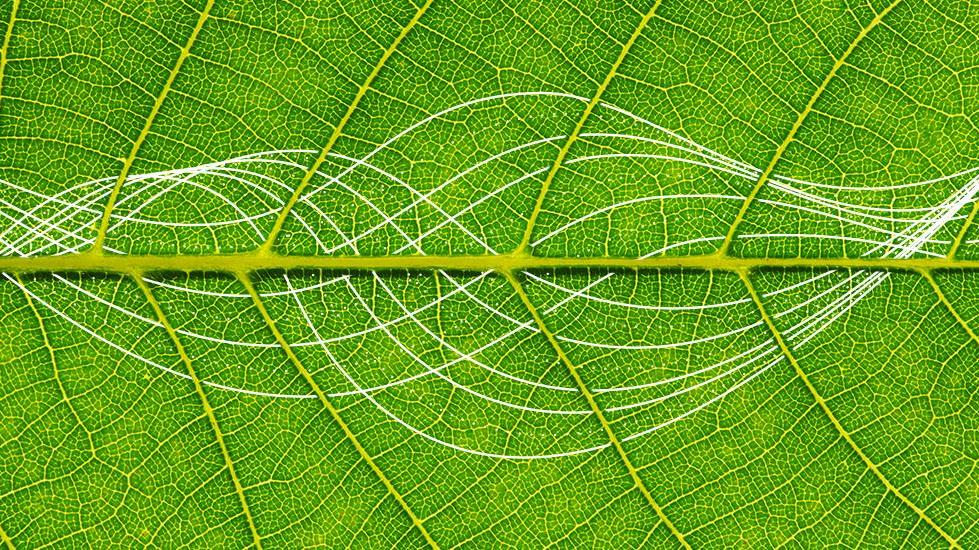 Faktenblatt zur Nachhaltigkeit 2021